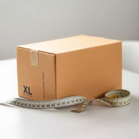 Poczta Polska karton XL cena